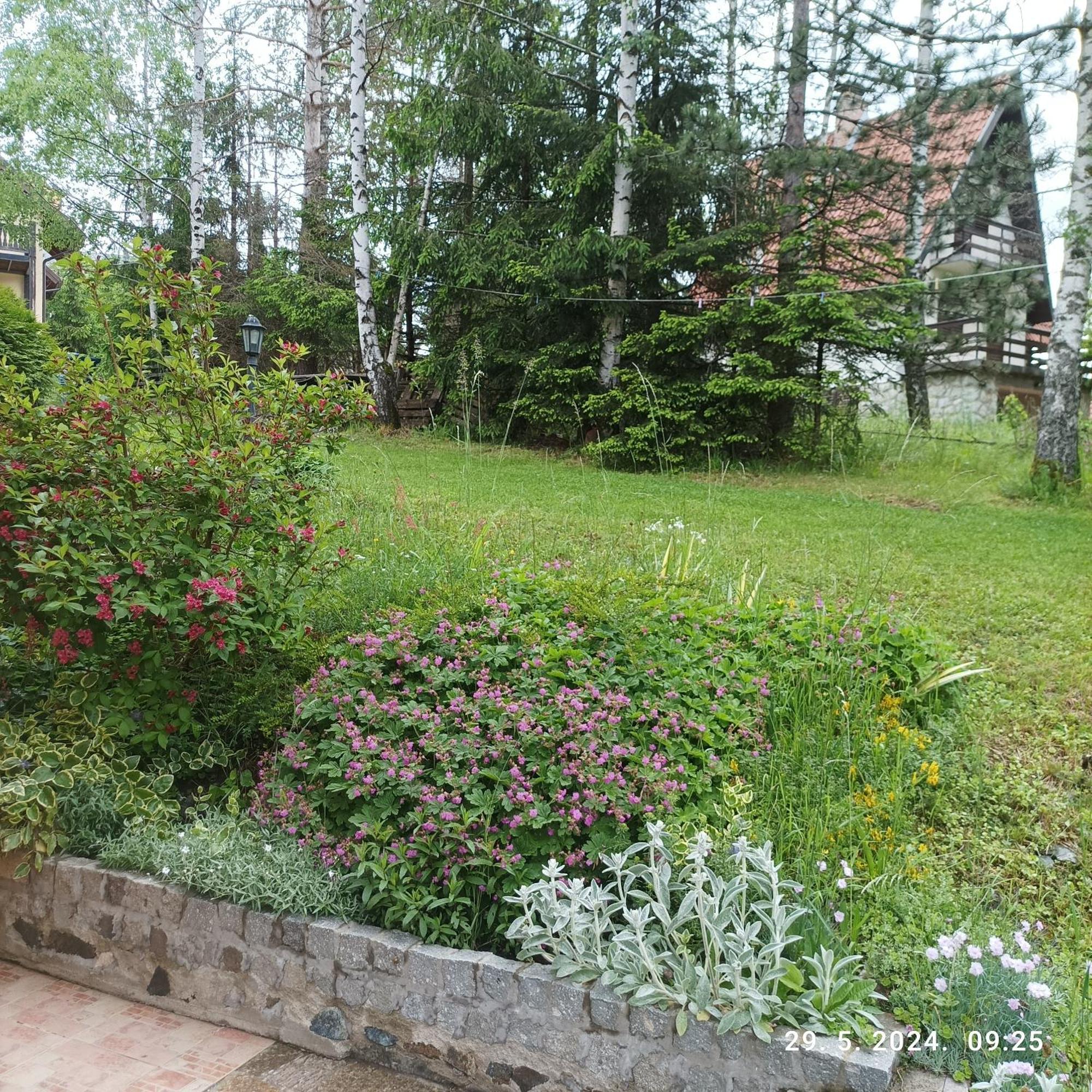 Apartments Dobra Vila Златибор Экстерьер фото